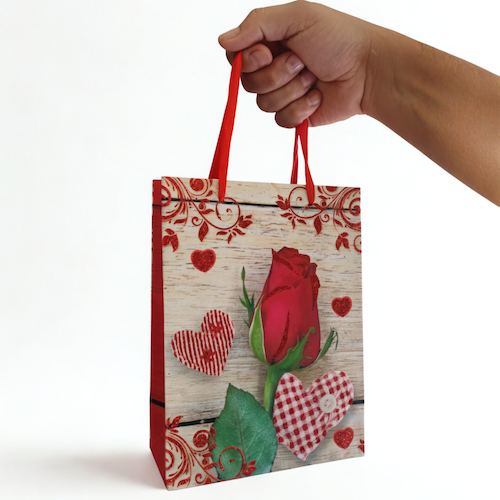 Large Red Gift Bag - 12 pcs