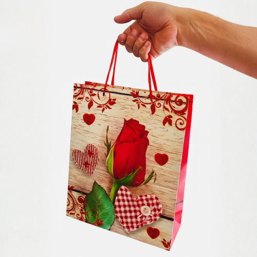 Medium Red Gift Bag - 12 pcs